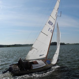 Jacaranda auf der Schlei